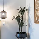 Apartment Guestready - Charming With Patio *